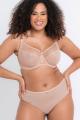 Curvy Kate - Victory Hipster