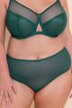 Curvy Kate - Victory Shorts