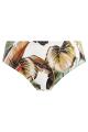 Fantasie Swim - Kinabalu Bikini Tai trusse