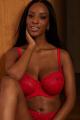 Panache Lingerie - Envy BH G-J skål