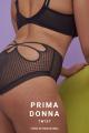 PrimaDonna Twist - Glass Beach Hotpants