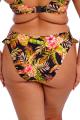 Elomi Swim - Tiger Valley Bikini Tai trusse - High leg