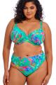 Elomi Swim - Toyama Tides Bikini Høj trusse - High Leg