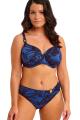 Fantasie Swim - Malabar Coast Bikini Tai trusse