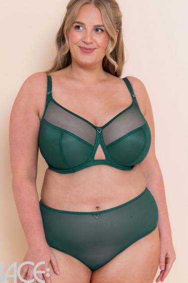 Curvy Kate - Victory Shorts