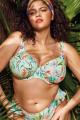 Elomi Swim - Sunshine Cove Bikini BH med dyb udskæring G-N skål