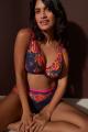 PrimaDonna Lingerie - Devdaha Foret Décolleté BH E-G skål
