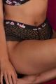 Freya Lingerie - Daydreaming Shorts