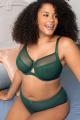 Curvy Kate - Victory Shorts