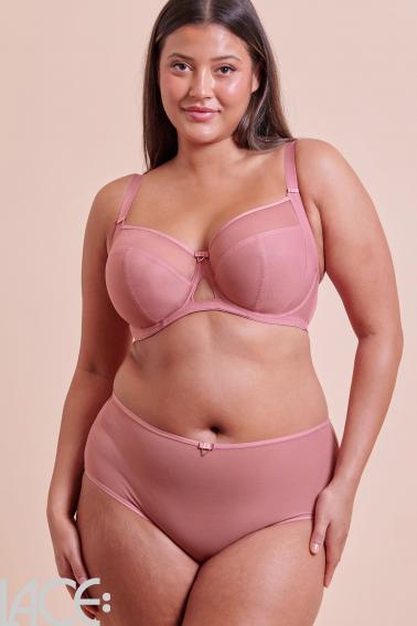 Curvy Kate - Victory Shorts