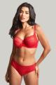 Panache Lingerie - Envy Tai trusse