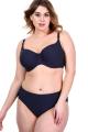 Fantasie Swim - Long Island Bikini Tai trusse