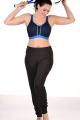PrimaDonna Sport - The Mesh Sports BH med bøjle og foret i skålen D-G skål PrimaDonna Sport - The Mesh Sports BH med bøjle og foret i skålen D-G skål