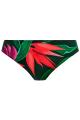 Fantasie Swim - Pichola Bikini Tai trusse